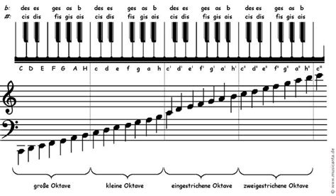 Klavier spielen (auf einem klavier oder flügel spielen). tastatur-notennamen.jpg (900×525) | Klavier, Noten, Musiknoten