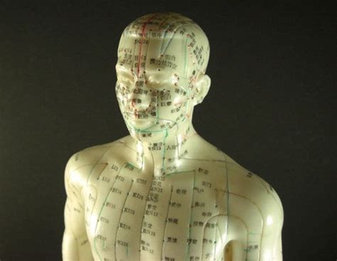 Adult Male Acupuncture Model Doll Alternative By Successionary 99