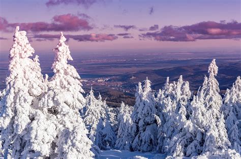 25 Photos That Prove The Harz Mountains Are The Most Magical Place In