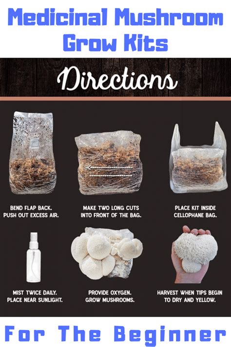 Mushroom Grow Kits For Beginners Medicinal Mushroom 101