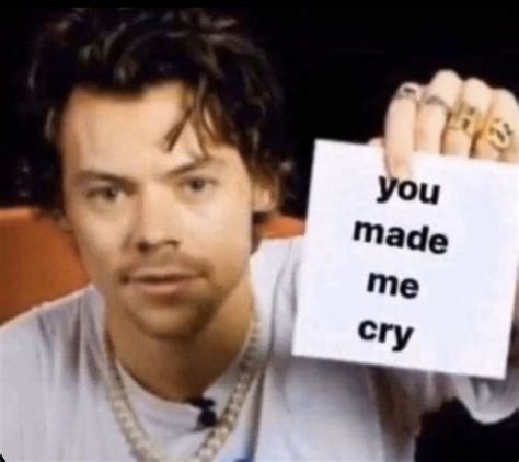 You Made Me Cry Harry Styles Funny Harry Styles Memes One Direction