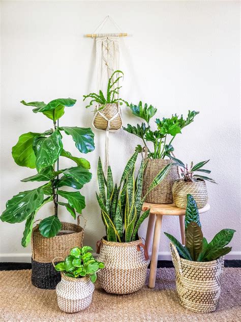Seagrass Basket Planter Handwoven Home Decor Boho Style Etsy