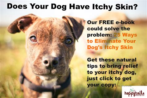A switch to a raw diet, or any food change, should be done gradually, dr. itchy skin ebook lar2 - Ruff Ideas