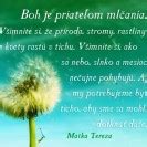 We did not find results for: Boh je priateľom mlčania.... - Matka Tereza - citát s ...