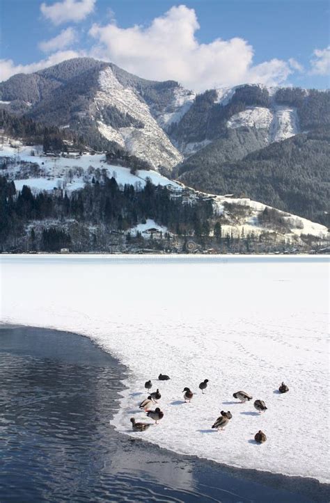 Scenic View Of Path Around Lake Stock Photo Image Of Alps Snow 18570684