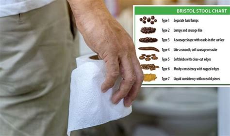 Is Your Poo Healthy Bristol Stool Chart Reveals What Is Should Look