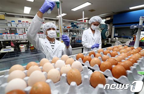 대형마트 계란서 기준치 21배 살충제 검출 홈플러스 부자특란