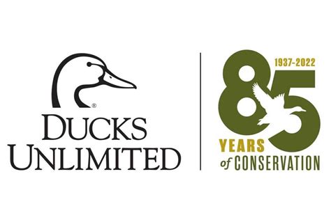 Ducks Unlimited Just Celebrated Its 85th Year Of Waterfowl Conservation