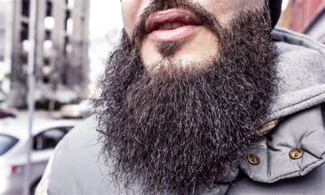 How To Easily Tame And Train A Wild Bushy Beard