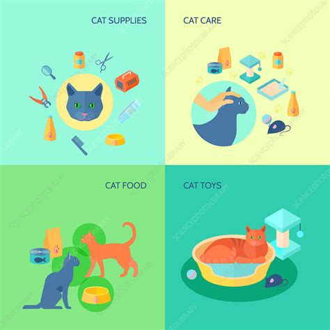 Pet Cat Illustration Stock Image F0200392 Science Photo Library