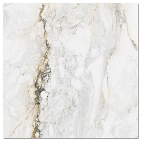 Calacatta Gold White Marble Polished Porcelain Tile X Mm Cala