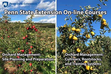 Penn State Offers Self Paced Courses On Planning Establishing Orchard