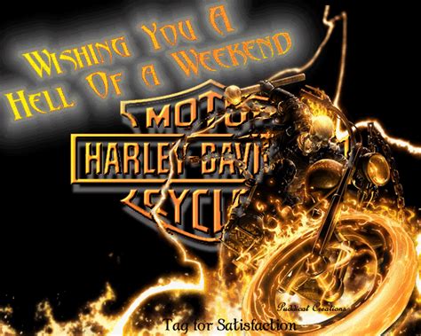 Harley Davidson  Harley Davidson