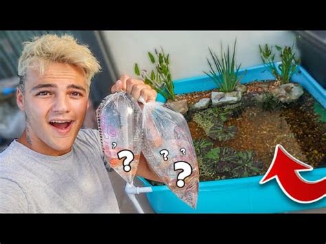 Building a miniature turtle enclosure on a low budget. BUYING FISH for My mini BackYard TURTLE POOL POND!! - Our ...