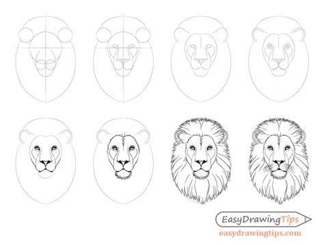 How To Draw Lion Face And Head Step By Step Easydrawingtips Lion Face