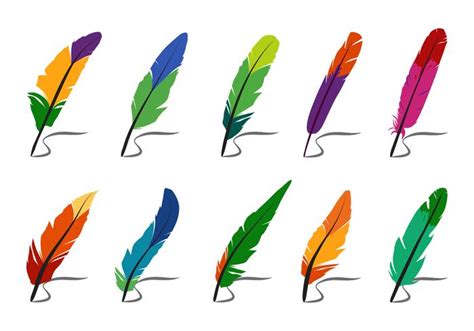 Colorful Feathers And Pluma Vectors 144949 Vector Art At Vecteezy