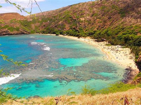 Hanauma Bay Tours Honolulu All You Need To Know Before You Go