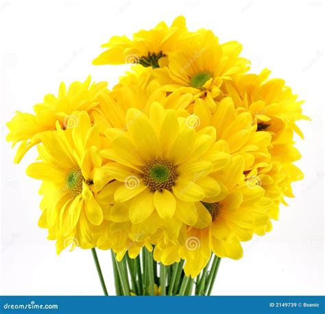 Beautiful Yellow Flowers Stock Image Image Of Close Beautiful 2149739