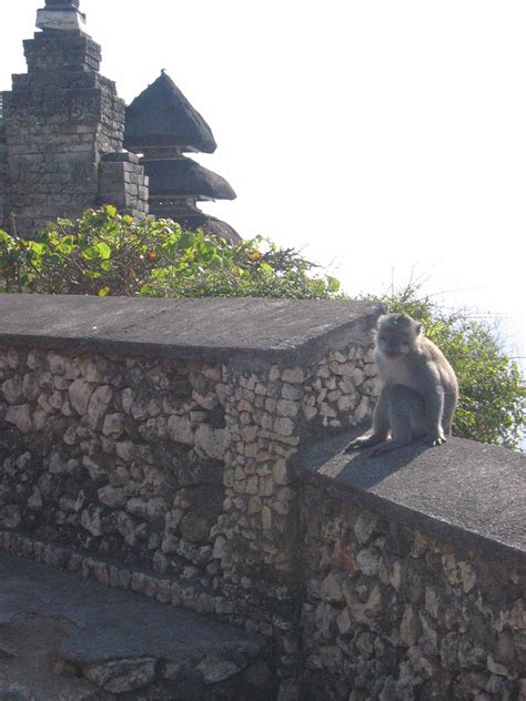 Bali Temple Near Uluwatu Monkeys Steal And Destroy Sungla Flickr