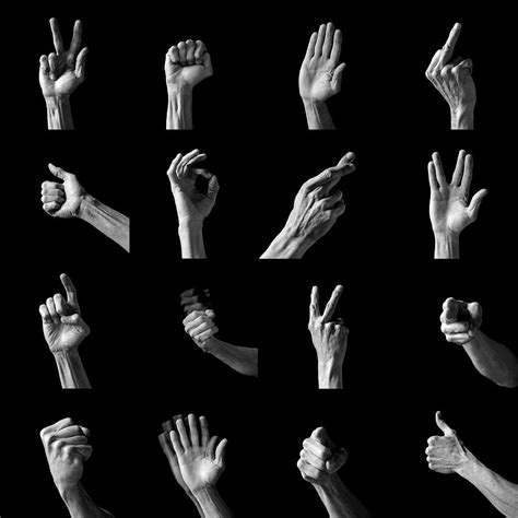 Hand Gestures Photograph By Peter Aprahamianscience Photo Library Pixels