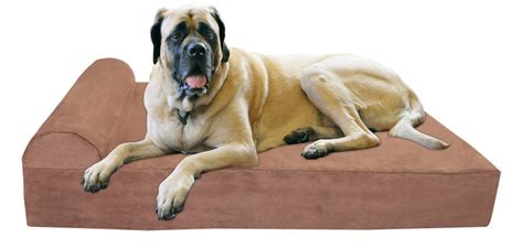 The 3 Best Dog Bed For Large Older Dogs In 2020