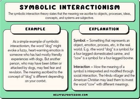 10 Symbolic Interactionism Examples And Easy Definition