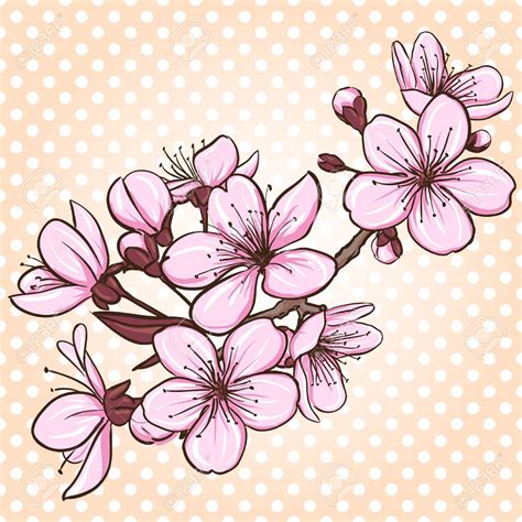 Oriental Cherry Stock Illustrations Cliparts And Royalty Free Oriental