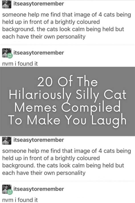 Two Tweets With The Caption 20 Of The Hilariously Silly Cat Memes
