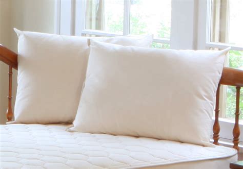 Naturepedic Organic Cotton And Pla Standard Size Pillow Baby Eco Trends
