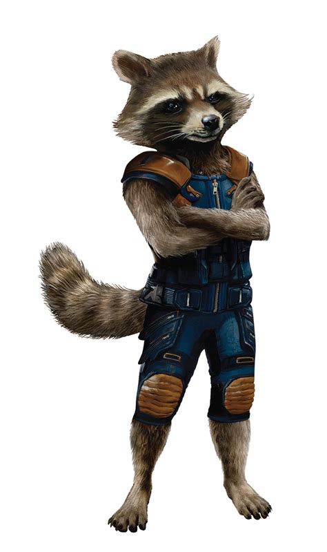 Monstrous Physique Rocket Raccoon Know Direction