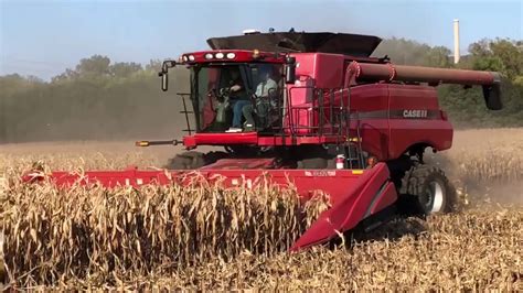 Case Ih 8120 Axial Flow Combine Harvesting Corn In Minnesota