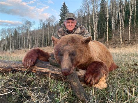Alberta Canada Black Bear Hunting Willow Creek Outfitters