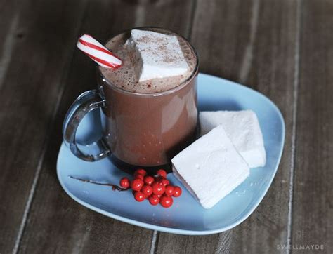 Swellmayde Diy Hot Cocoa With Homemade Marshmallows Diy Hot Cocoa