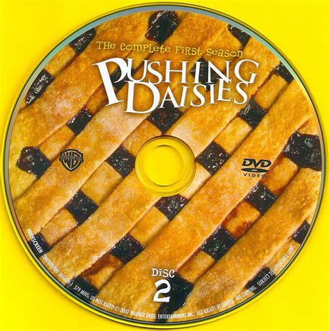 Coversboxsk Pushing Daisies Season 1 Disc 2 2007 Not Rated