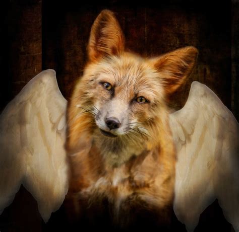 My Friend Recently Lost Her Beloved Rescue Fox And Asked If I Could Add