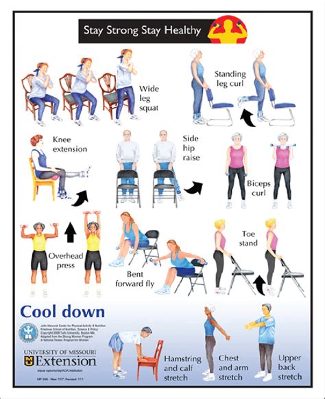 Figure 1 Stay Strong Stay Healthy Chair Exercises Senior Fitness