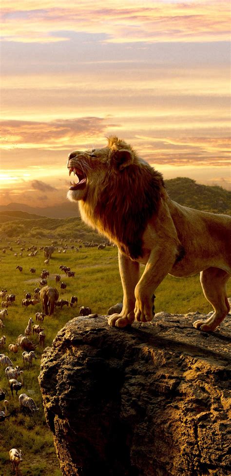 1440x2960 The Lion King King Of Jungle Movie 2019 Simba Wallpaper