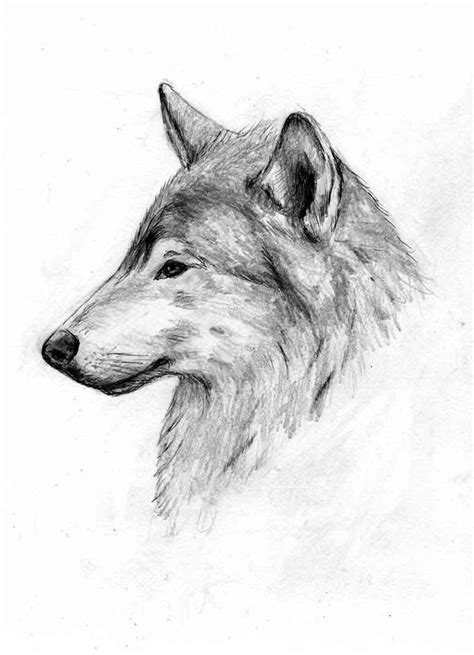 Wolf Side Profile Thing By Smiles12345 On Deviantart