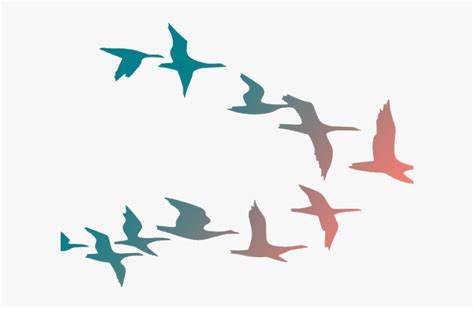 Bird Flying Birds Clipart Flock Of Cartoon Transparent Colorful