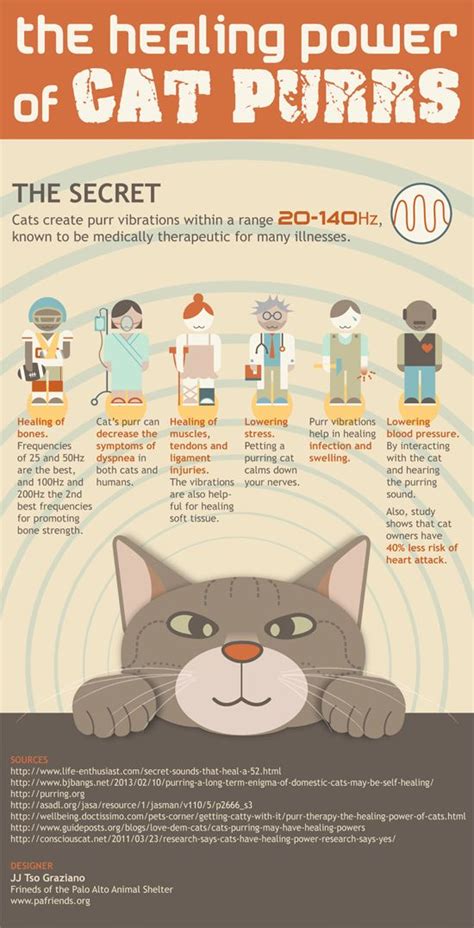 This association between the frequencies of cats' purrs and. The Healing Power of Cat Purrs - Pet Parenting & Training ...