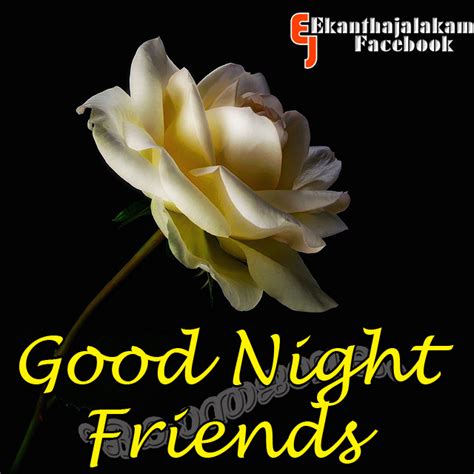 Lovely Quotes For You Good Night And Have A Nice Sleep Friend