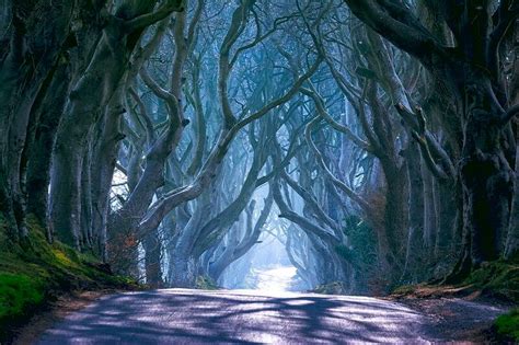 The Dark Hedges Game Of Thrones Filming Locations Ireland