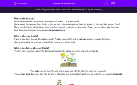 Vascular plants bear fruits and flowers. Growing Plants Worksheet - EdPlace