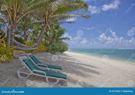 Tropical Beach With Palm Trees And Lounge Chairs Stock Photo Image Of