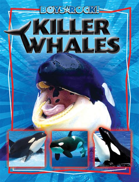 Killer Whales The Childs World