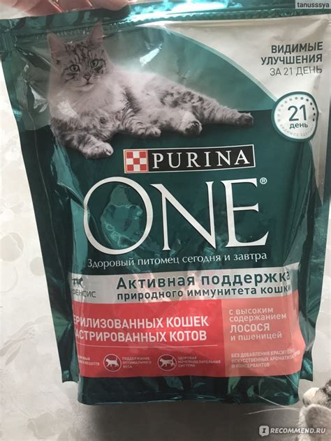 Purina One Adult Пурина Ван Эдалт для взрослых кошек с Лососем и