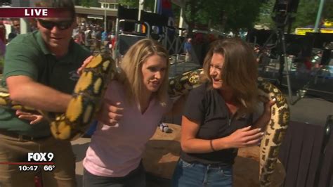 Fox 9s Alex And Leah Meet Reptiles At The Minnesota State Fair