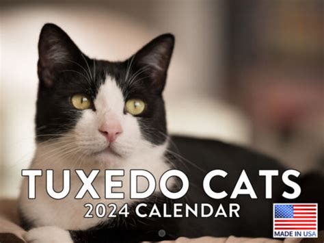 Tuxedo Cat 2024 Wall Calendar Ebay