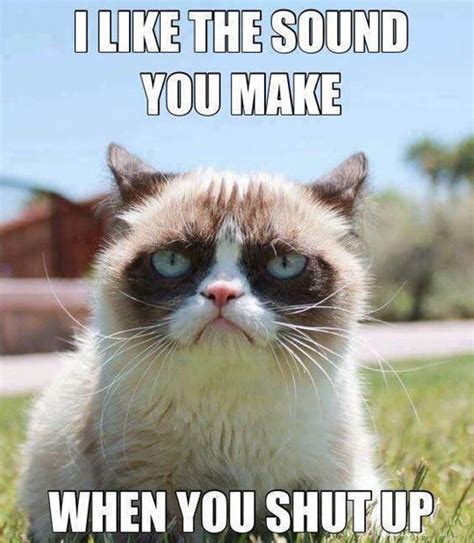 Favorite Sound Grumpy Cat Know Your Meme