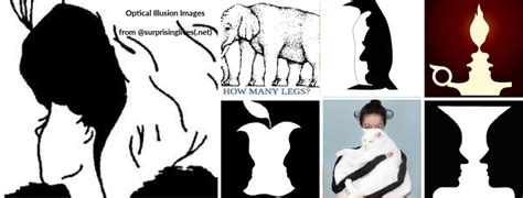 What Do You See Optical Illusion Pictures Surprising Lives